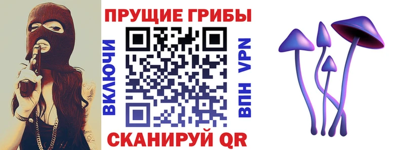 Галлюциногенные грибы Cubensis  Черногорск 